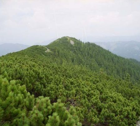 Parcul Natural Putna Vrancea 